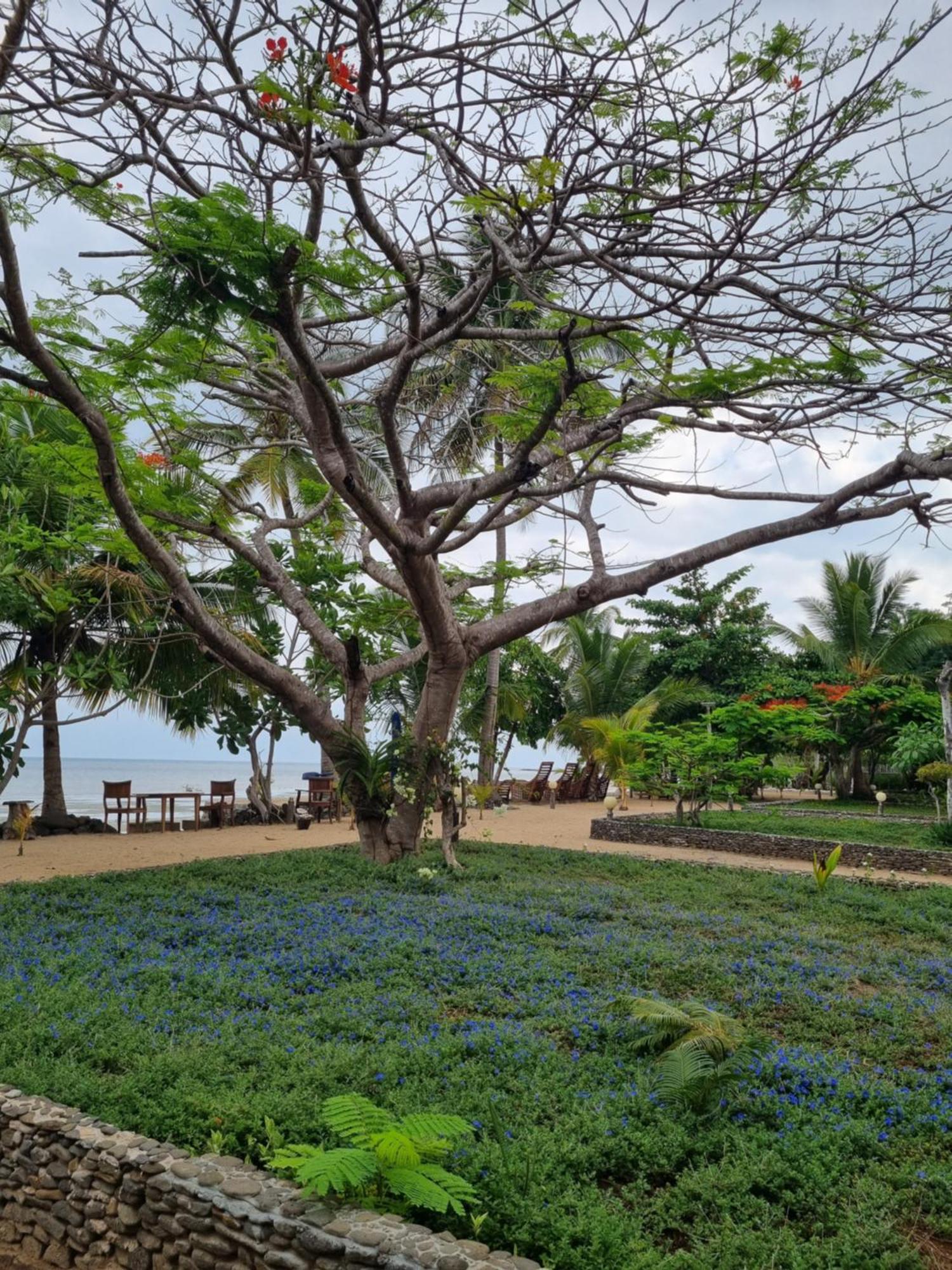 Sangany Lodge Befotaka Bay Eksteriør billede